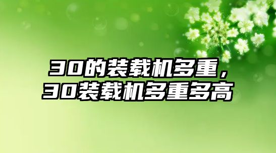 30的裝載機(jī)多重，30裝載機(jī)多重多高