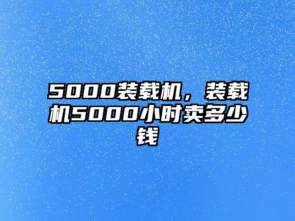 5000裝載機(jī)，裝載機(jī)5000小時(shí)賣多少錢