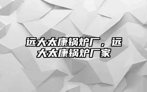 遠(yuǎn)大太康鍋爐廠，遠(yuǎn)大太康鍋爐廠家