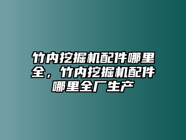 竹內(nèi)挖掘機配件哪里全，竹內(nèi)挖掘機配件哪里全廠生產(chǎn)