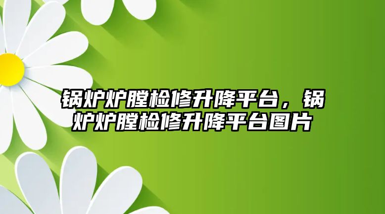 鍋爐爐膛檢修升降平臺，鍋爐爐膛檢修升降平臺圖片