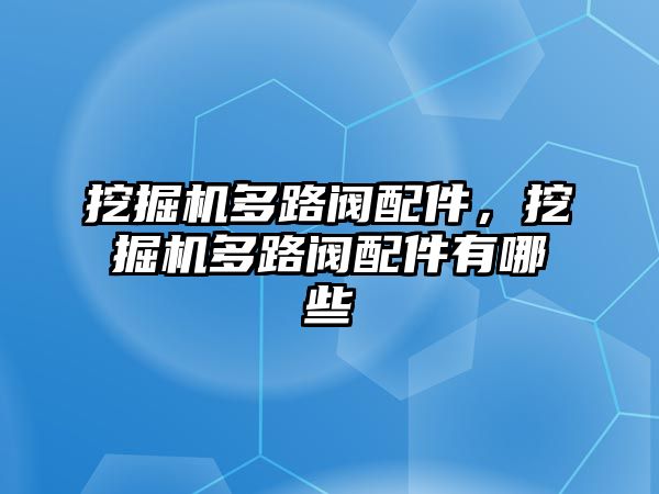 挖掘機(jī)多路閥配件，挖掘機(jī)多路閥配件有哪些