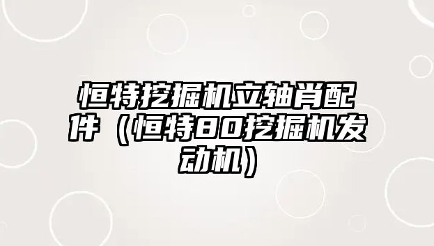 恒特挖掘機(jī)立軸肖配件（恒特80挖掘機(jī)發(fā)動機(jī)）