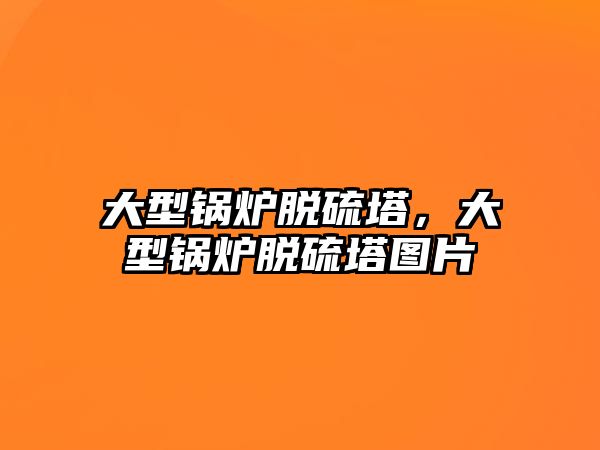 大型鍋爐脫硫塔，大型鍋爐脫硫塔圖片