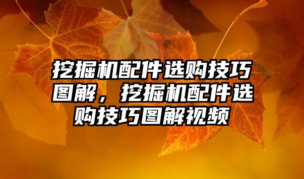 挖掘機配件選購技巧圖解，挖掘機配件選購技巧圖解視頻