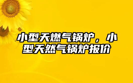 小型天燃?xì)忮仩t，小型天然氣鍋爐報價