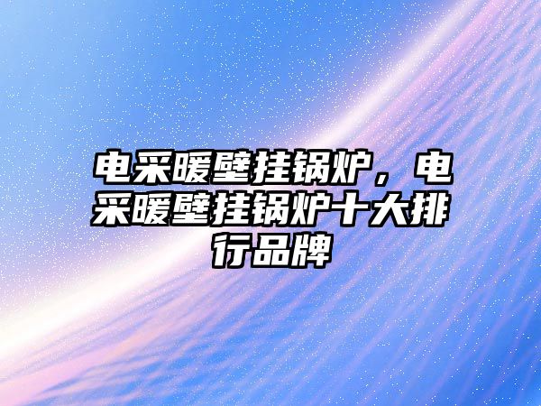 電采暖壁掛鍋爐，電采暖壁掛鍋爐十大排行品牌