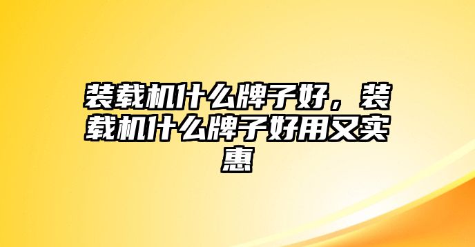 裝載機(jī)什么牌子好，裝載機(jī)什么牌子好用又實惠