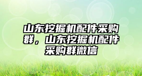 山東挖掘機配件采購群，山東挖掘機配件采購群微信