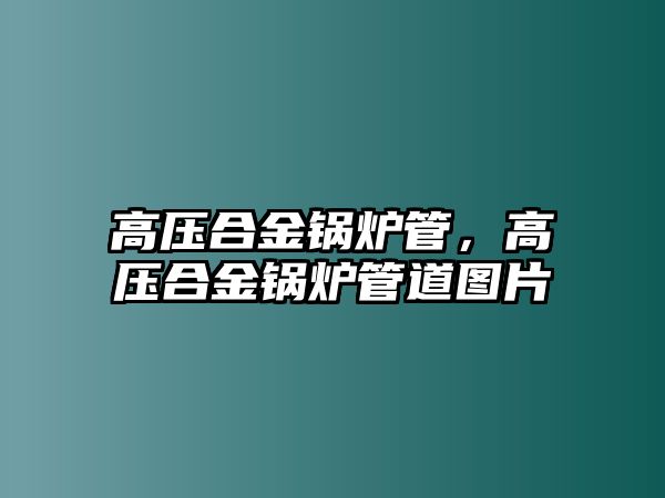 高壓合金鍋爐管，高壓合金鍋爐管道圖片