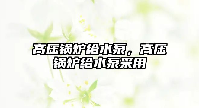 高壓鍋爐給水泵，高壓鍋爐給水泵采用