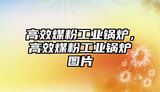 高效煤粉工業(yè)鍋爐，高效煤粉工業(yè)鍋爐圖片