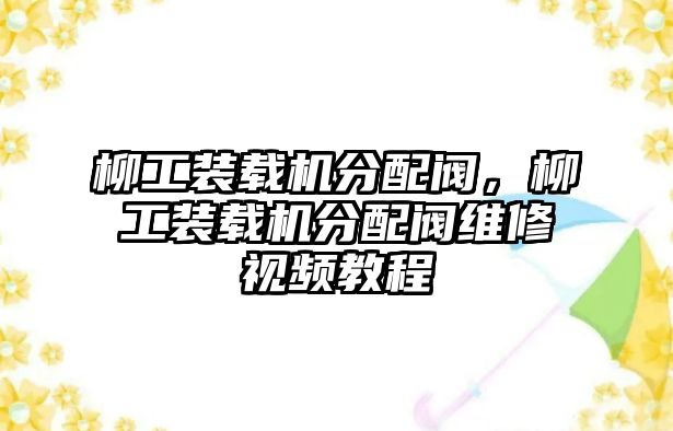 柳工裝載機(jī)分配閥，柳工裝載機(jī)分配閥維修視頻教程