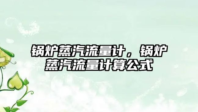 鍋爐蒸汽流量計(jì)，鍋爐蒸汽流量計(jì)算公式