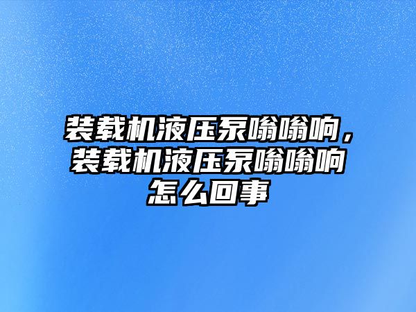 裝載機液壓泵嗡嗡響，裝載機液壓泵嗡嗡響怎么回事