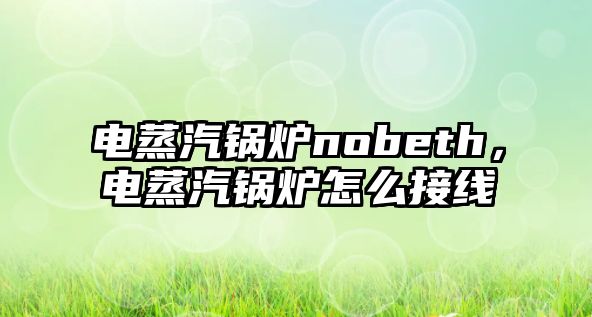 電蒸汽鍋爐nobeth，電蒸汽鍋爐怎么接線