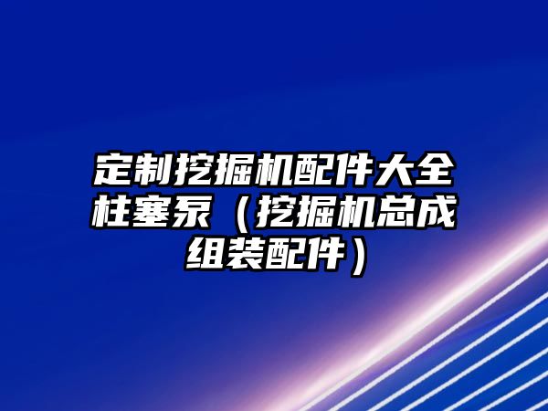 定制挖掘機(jī)配件大全柱塞泵（挖掘機(jī)總成組裝配件）