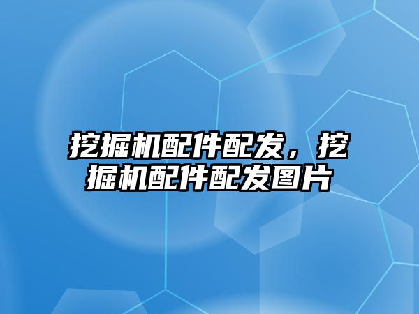 挖掘機配件配發(fā)，挖掘機配件配發(fā)圖片