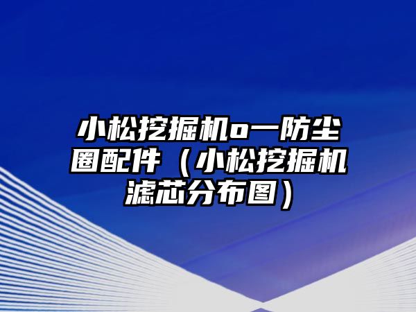 小松挖掘機o一防塵圈配件（小松挖掘機濾芯分布圖）