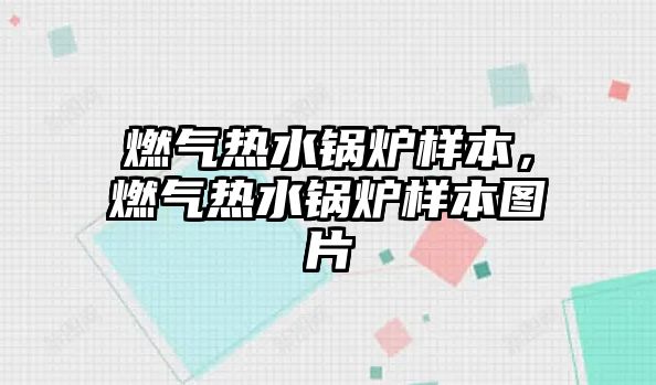 燃氣熱水鍋爐樣本，燃氣熱水鍋爐樣本圖片