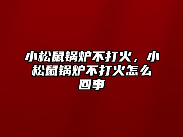 小松鼠鍋爐不打火，小松鼠鍋爐不打火怎么回事