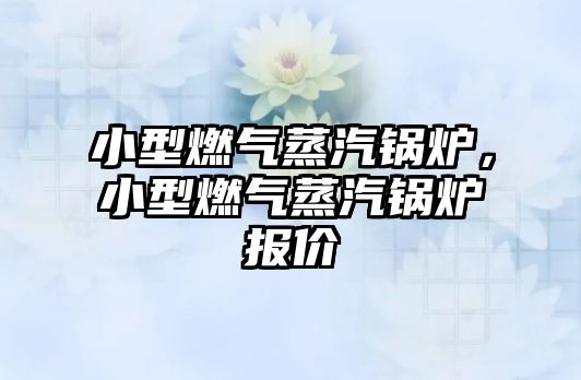 小型燃?xì)庹羝仩t，小型燃?xì)庹羝仩t報價