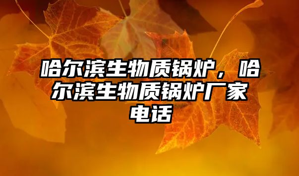 哈爾濱生物質(zhì)鍋爐，哈爾濱生物質(zhì)鍋爐廠家電話