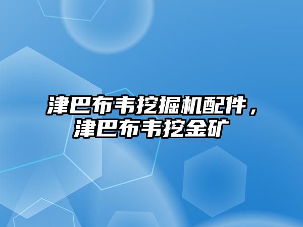 津巴布韋挖掘機(jī)配件，津巴布韋挖金礦