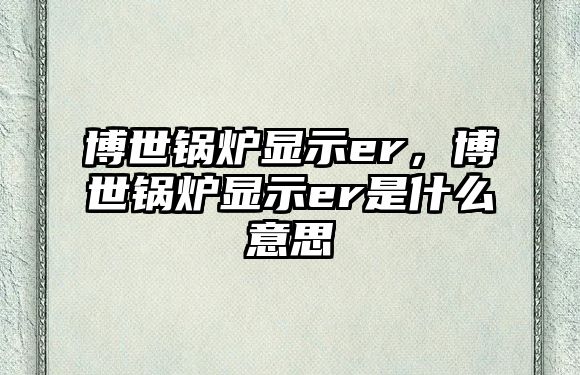 博世鍋爐顯示er，博世鍋爐顯示er是什么意思