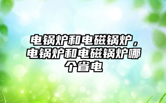 電鍋爐和電磁鍋爐，電鍋爐和電磁鍋爐哪個(gè)省電