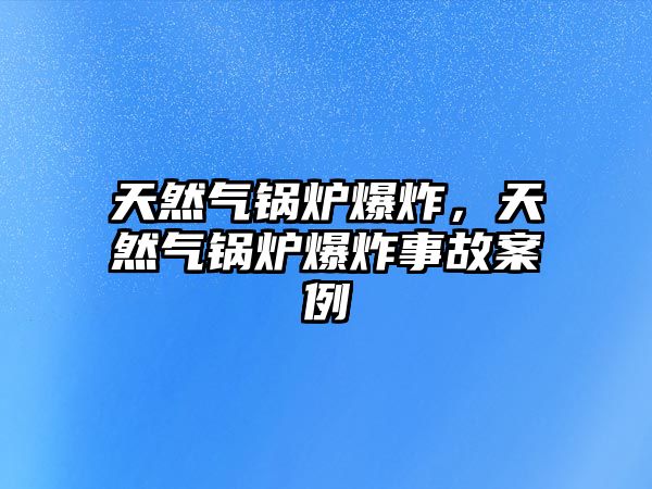 天然氣鍋爐爆炸，天然氣鍋爐爆炸事故案例