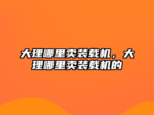 大理哪里賣裝載機，大理哪里賣裝載機的