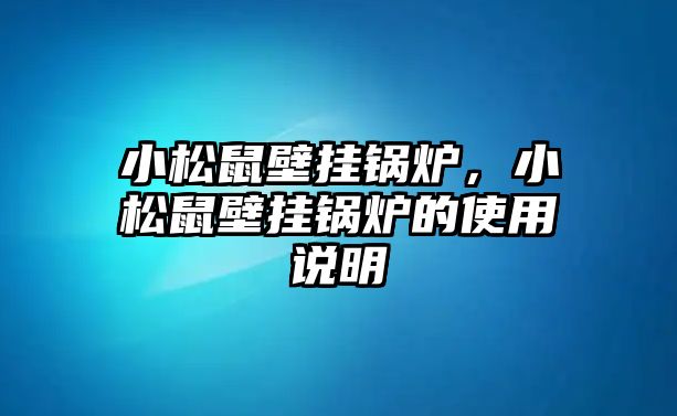 小松鼠壁掛鍋爐，小松鼠壁掛鍋爐的使用說明