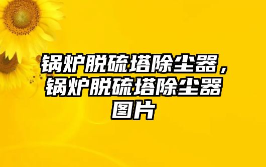 鍋爐脫硫塔除塵器，鍋爐脫硫塔除塵器圖片