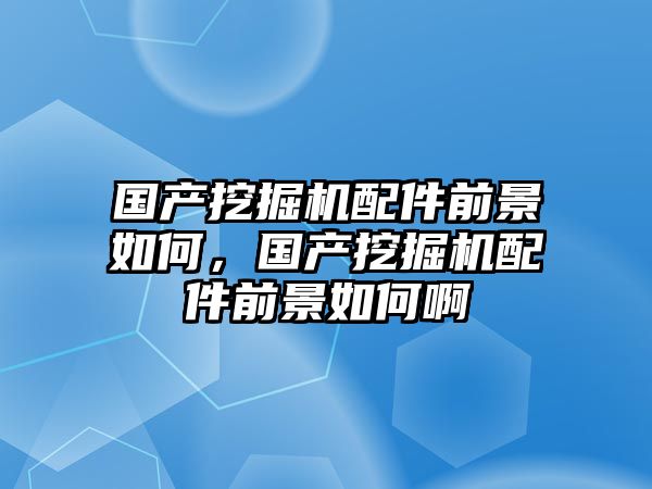 國產(chǎn)挖掘機配件前景如何，國產(chǎn)挖掘機配件前景如何啊