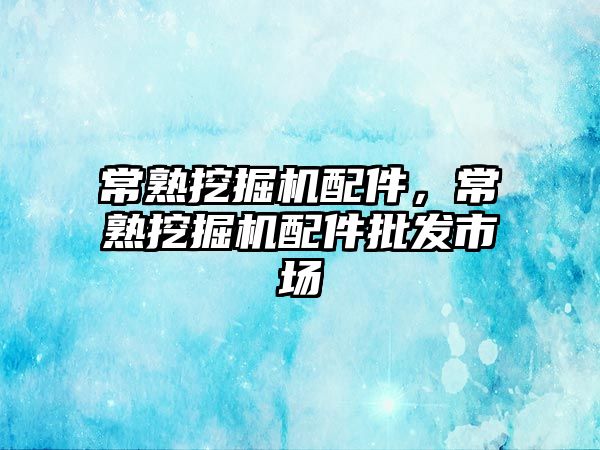 常熟挖掘機配件，常熟挖掘機配件批發(fā)市場