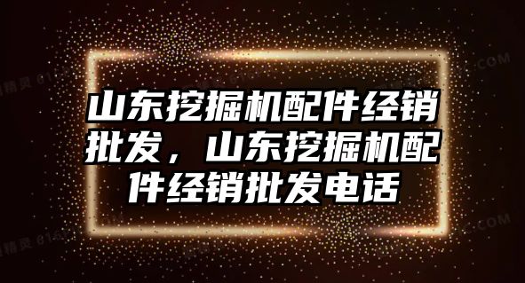 山東挖掘機配件經銷批發(fā)，山東挖掘機配件經銷批發(fā)電話