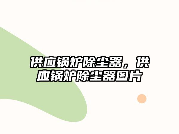 供應(yīng)鍋爐除塵器，供應(yīng)鍋爐除塵器圖片