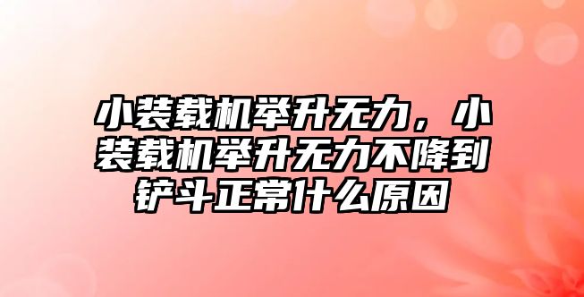 小裝載機舉升無力，小裝載機舉升無力不降到鏟斗正常什么原因