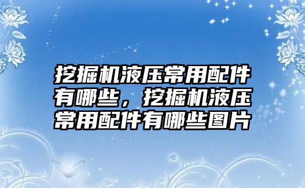 挖掘機(jī)液壓常用配件有哪些，挖掘機(jī)液壓常用配件有哪些圖片