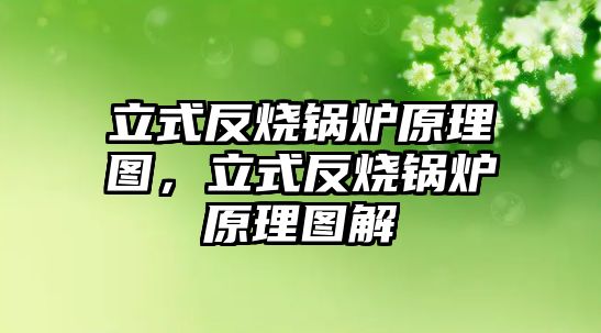 立式反燒鍋爐原理圖，立式反燒鍋爐原理圖解