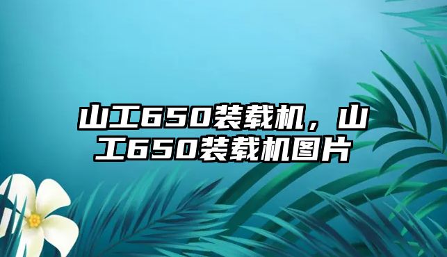 山工650裝載機，山工650裝載機圖片