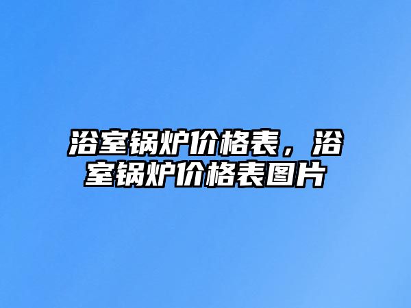 浴室鍋爐價格表，浴室鍋爐價格表圖片