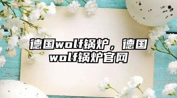 德國wolf鍋爐，德國wolf鍋爐官網(wǎng)