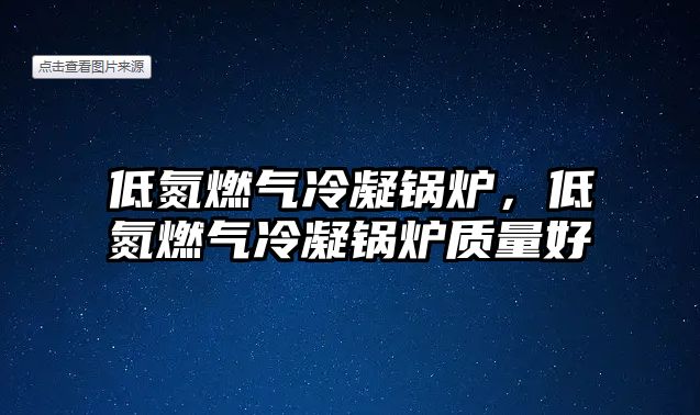 低氮燃?xì)饫淠仩t，低氮燃?xì)饫淠仩t質(zhì)量好