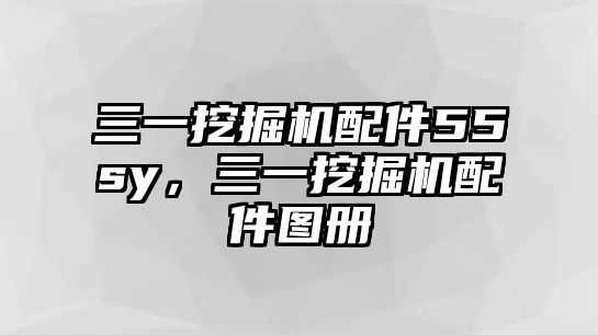 三一挖掘機(jī)配件55sy，三一挖掘機(jī)配件圖冊(cè)