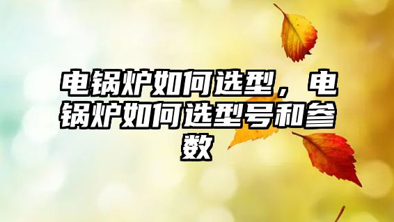 電鍋爐如何選型，電鍋爐如何選型號(hào)和參數(shù)