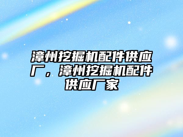 漳州挖掘機配件供應廠，漳州挖掘機配件供應廠家