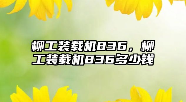 柳工裝載機836，柳工裝載機836多少錢