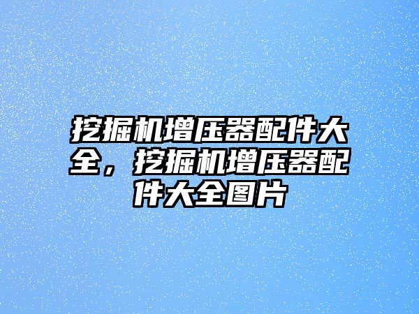 挖掘機增壓器配件大全，挖掘機增壓器配件大全圖片